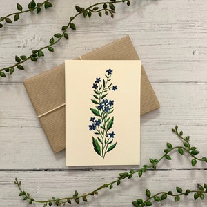 Lot de 6 cartes postales Collection botanique de fleurs sauvages Pack de cartes de correspondance aquarelle Nature illustrée Cartes d'art florales A6 Mini impressions image 8