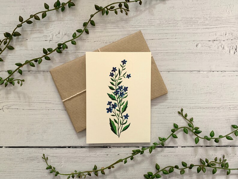 Postcard Set of 6 Botanical Wildflowers Collection Watercolour Notecards Pack Nature Illustrated A6 Flower Art Cards Mini Prints image 8