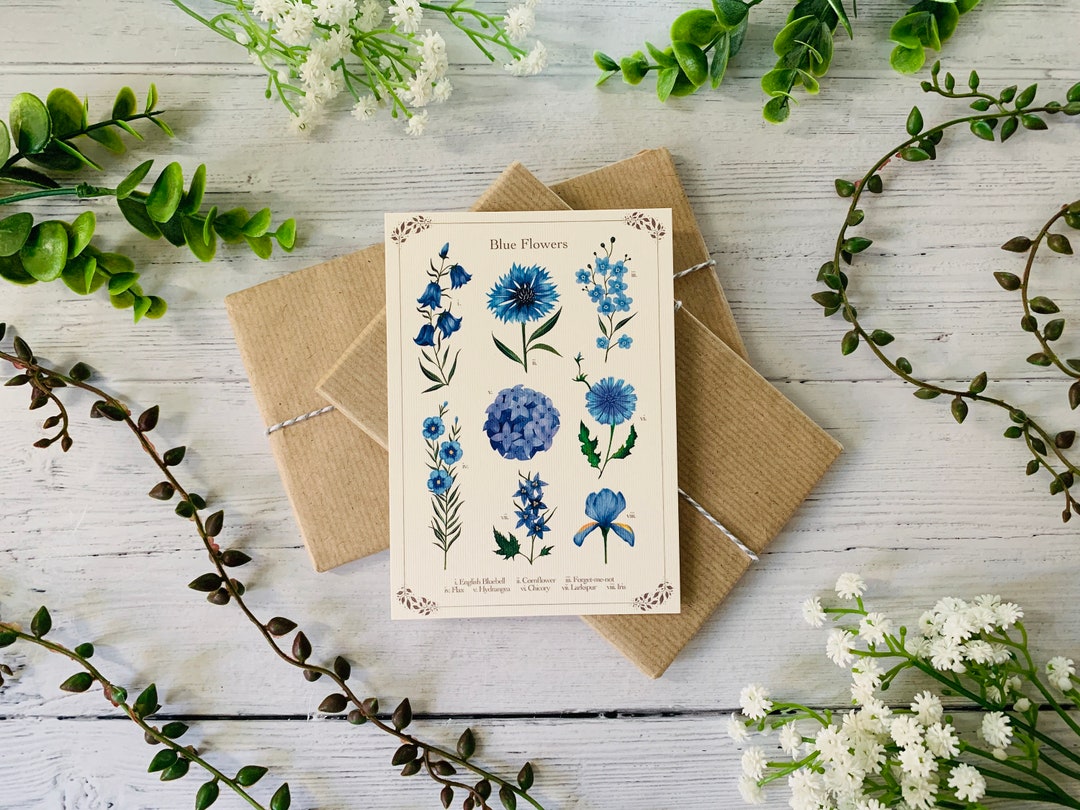 Botanical Blue Floral Postcard - Vintage Flower Identification - Nature ...