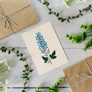 Blue Floral Postcard Set of 6 Wildflowers and Leaves Botanical Notecards Pack Nature Illustrated A6 Flower Art Cards Mini Prints image 7