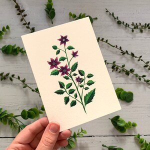 Lot de 6 cartes postales Collection botanique de fleurs sauvages Pack de cartes de correspondance aquarelle Nature illustrée Cartes d'art florales A6 Mini impressions image 7