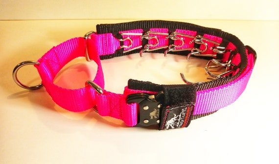 covert pinch collar