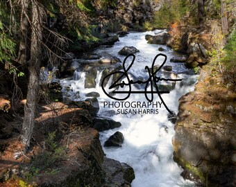 May include: A rushing river flows through a rocky canyon, surrounded by lush green trees. The water is white and foamy, and the rocks are brown and gray. The trees are tall and slender, and their leaves are a mix of green and yellow. The image is taken from a high angle, looking down at the river.