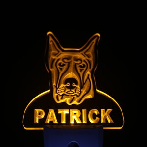 Doberman Pinscher Personalized Night Light Name Day/ Night Sensor LED Sign ws1067-tm