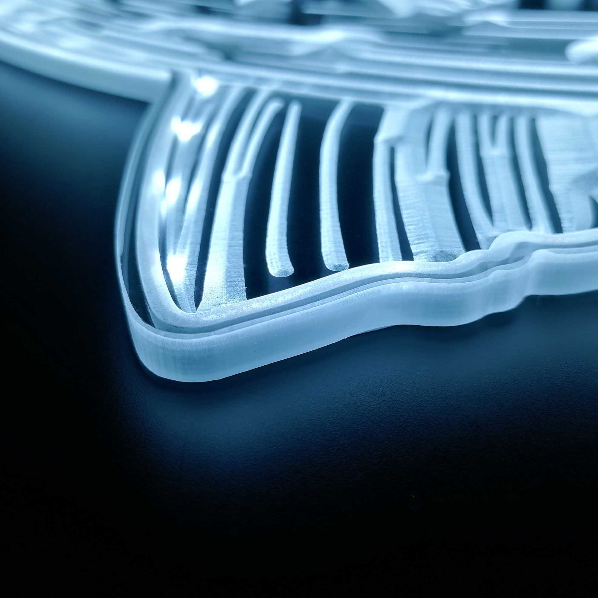 ADVPRO Insegna Luminosa A LED Pesce Gatto: Cartello 3D Multicolore Dinamico Con Controllo APP E Oltre 200 Modalità - 6