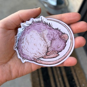 Sleeping rat refrigerator magnet