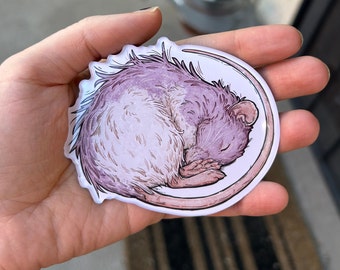May include: A close-up of a sticker featuring a detailed illustration of a sleeping purple rat curled up in a circle. The rat has a white belly and pink nose.