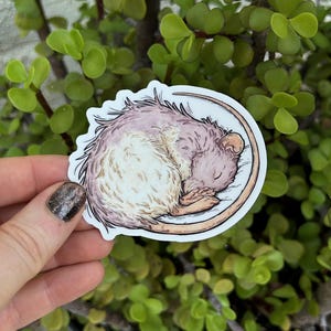 Sleeping Rat Sticker - High quality cute waterproof sticker