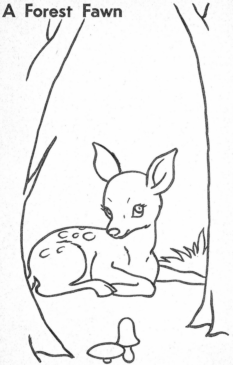 Woodland Baby Animals Coloring Pages Coloring Pages