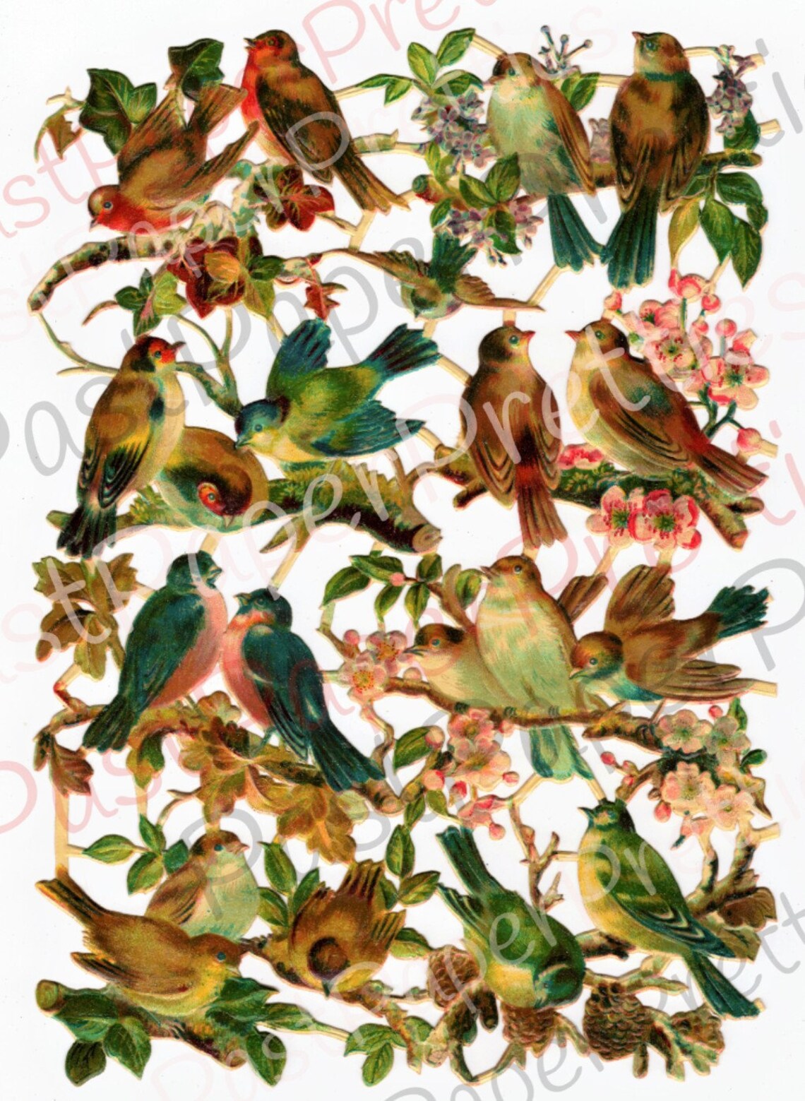 Vintage Antique Victorian Song Birds and Nests Printable Paper | Etsy