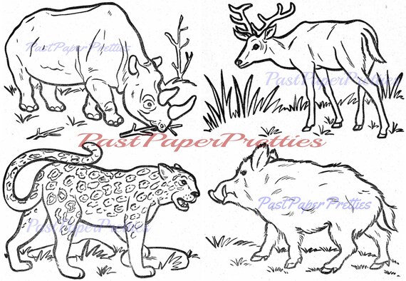 Digital Art & Collectibles Vintage Animal 50's 60's Coloring Book ...