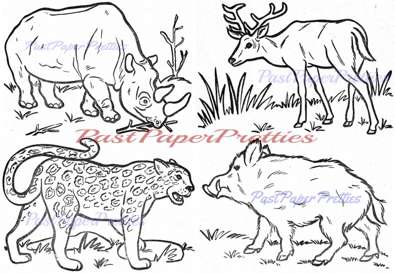 Vintage Printable Coloring Book Pages Animals to Color 1950s | Etsy