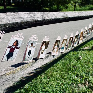 May include: A series of baby photos displayed on a string, attached to a wooden fence. Each photo is labeled with a month, starting with "NEWBORN." The photos show a baby's growth over time, with a green grassy background.