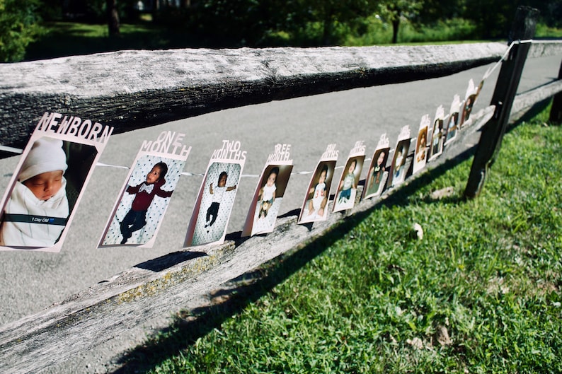 May include: A series of baby photos displayed on a string, attached to a wooden fence. Each photo is labeled with a month, starting with "NEWBORN." The photos show a baby's growth over time, with a green grassy background.