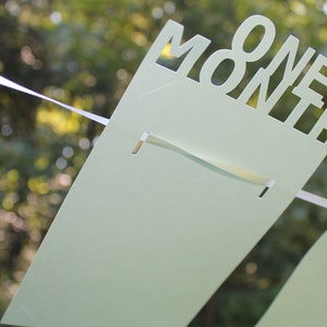 May include: A light green banner with the words "ONE MONTH" cut out of the paper. The banner is strung on a white ribbon. The background is a blurred view of green foliage.