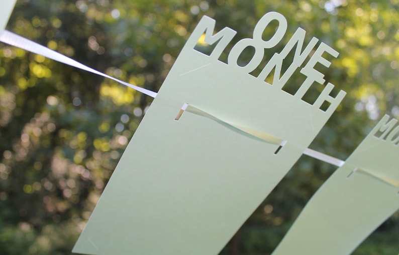 May include: A light green banner with the words "ONE MONTH" cut out of the paper. The banner is strung on a white ribbon. The background is a blurred view of green foliage.