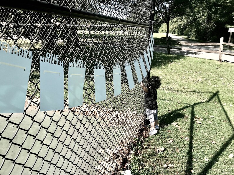 May include: A chain-link fence with light blue rectangular signs hanging from it. The signs have text that reads "Born", "One Month", "Two Months", and "Three Months". A child is reaching for the signs.
