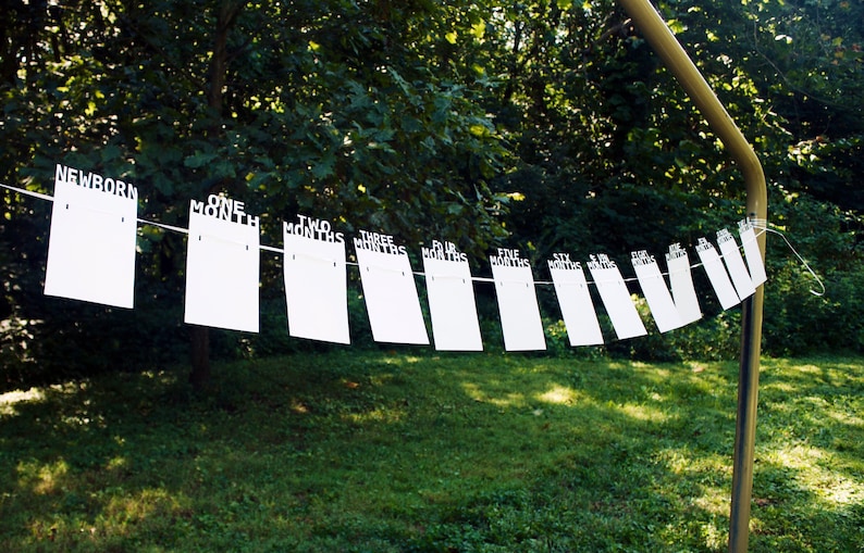 May include: A white banner with the words "NEWBORN" to "EIGHT MONTHS" printed on individual rectangular cards. The cards are strung on a white string, hanging in front of a green background of trees and grass.