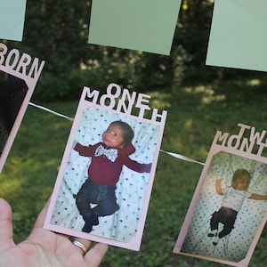 May include: A baby milestone photo banner with pink frames and the words "NEWBORN", "ONE MONTH", and "TWO MONTHS". Each frame holds a photo of a baby. The banner is strung on a white ribbon, with green foliage in the background.