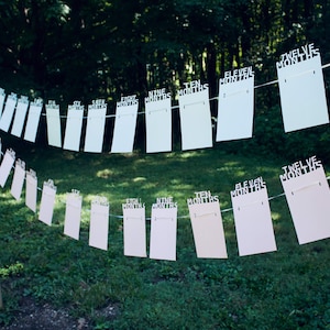 May include: A string of paper cards, each labeled with a month from six to twelve months, hangs from a string. The cards are light pink and white, suspended against a backdrop of green foliage and a golden pole.