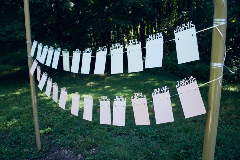 May include: A string of paper cards, each labeled with a month from six to twelve months, hangs from a string. The cards are light pink and white, suspended against a backdrop of green foliage and a golden pole.