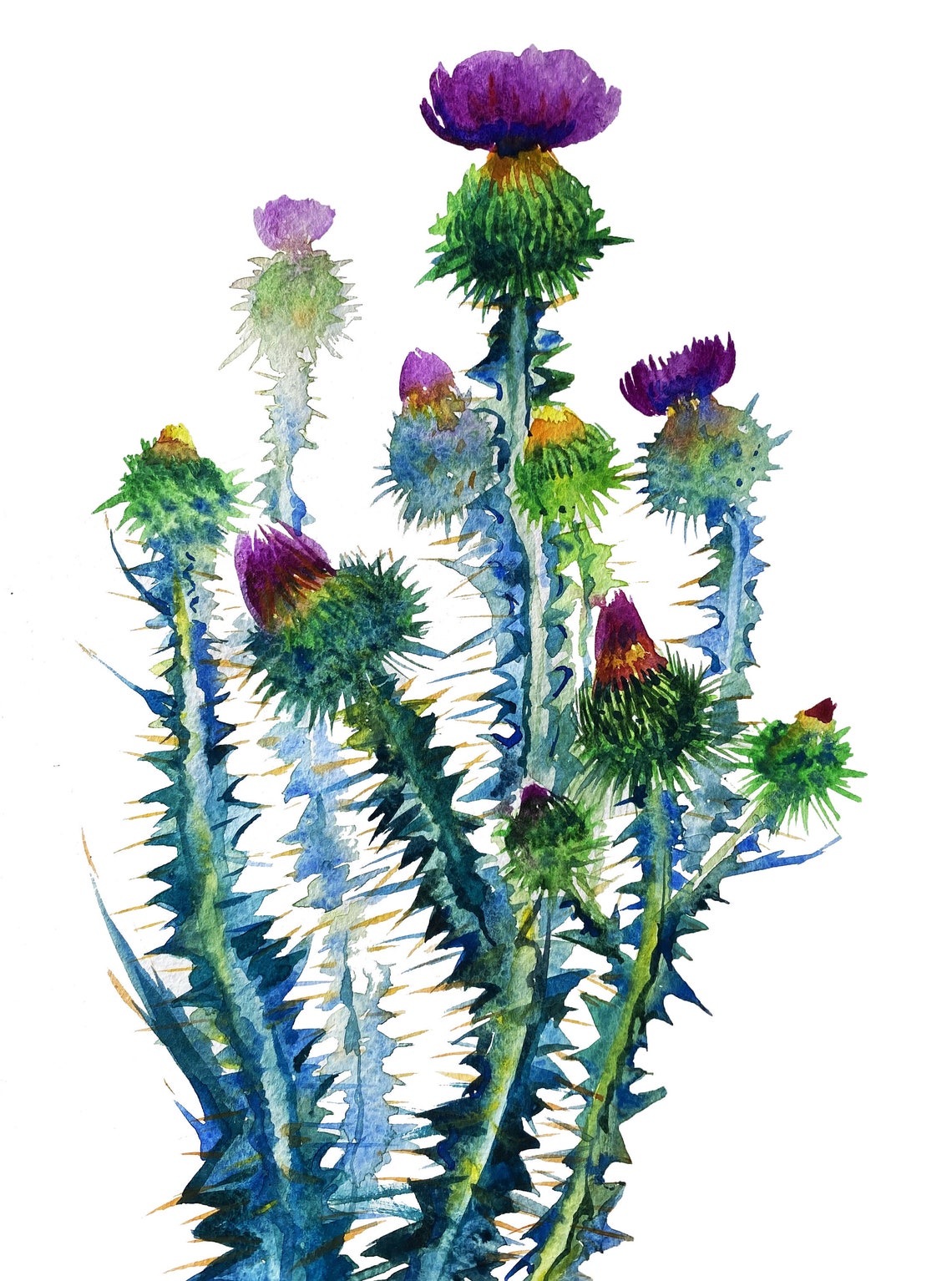 3 set of original watercolor THISTLE painting Cirsium wall art Etsy