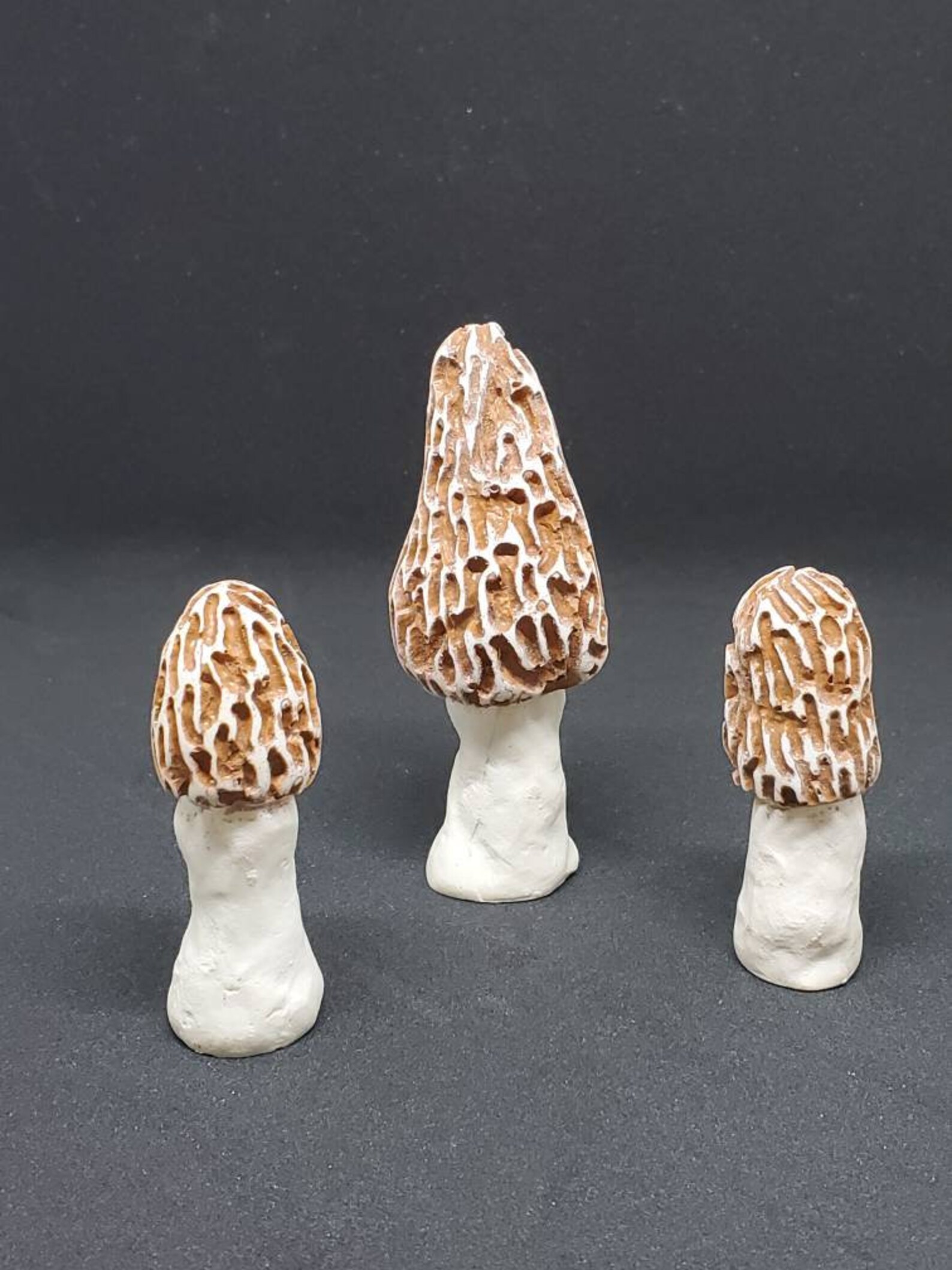 White Morel Garden Mushrooms. Set of 3.Artificial Morels Morel Etsy