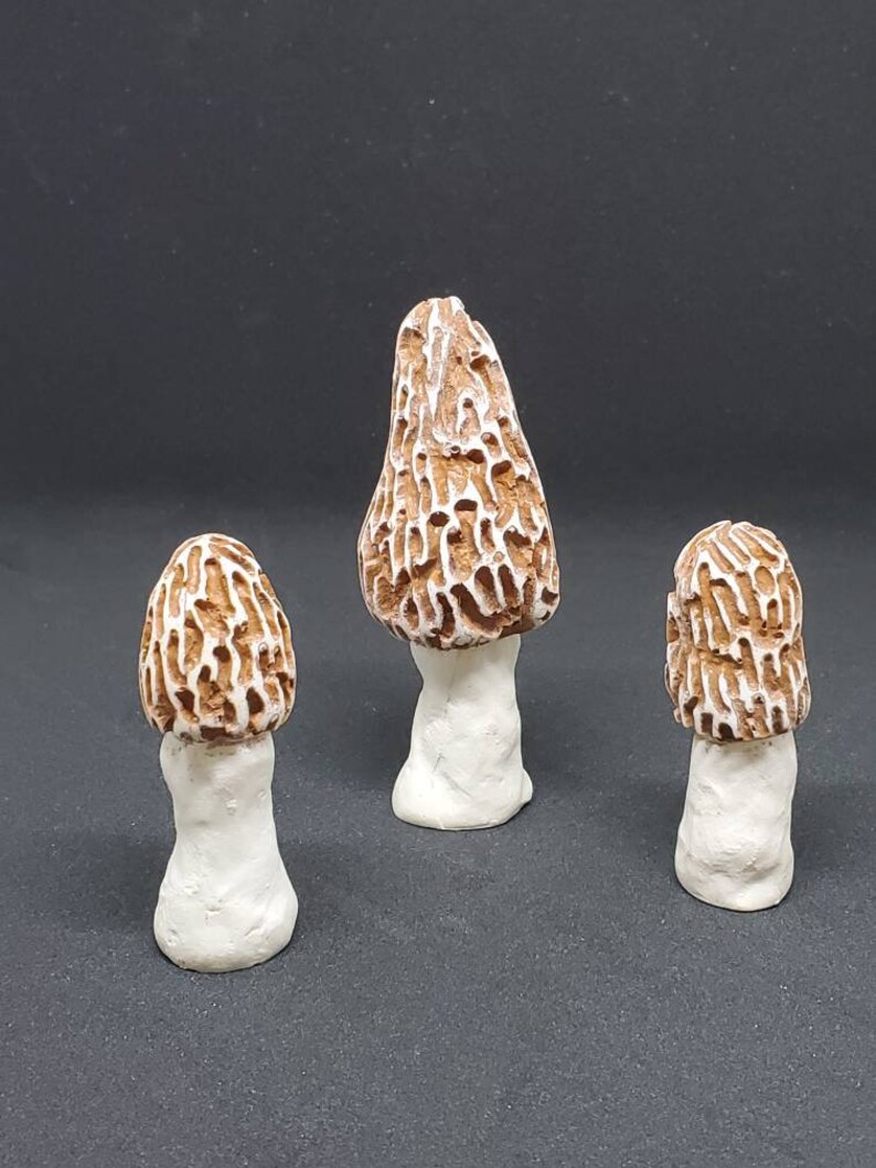 White Morel Garden Mushrooms. Set of 3.artificial Morels Morel Etsy