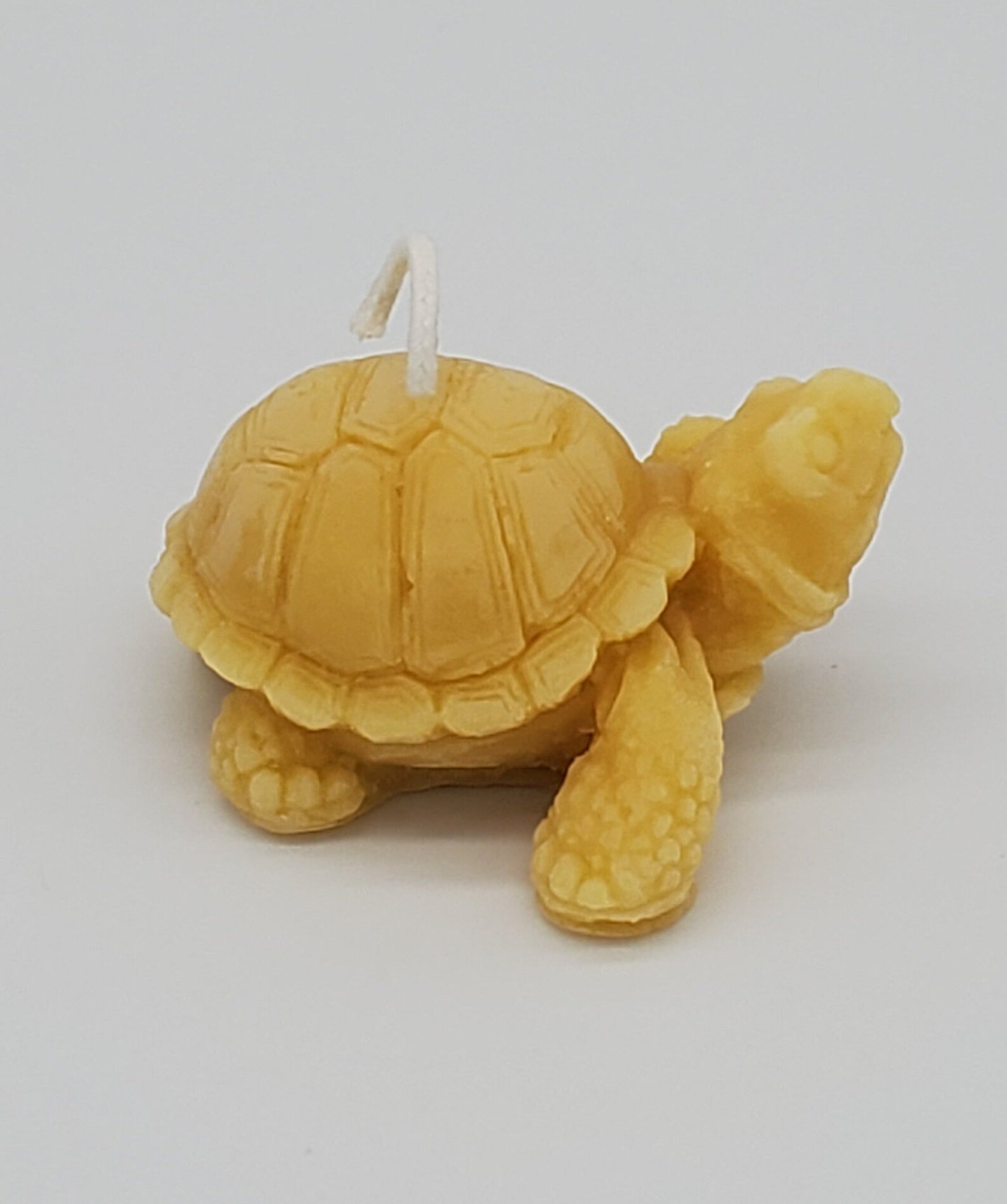 100 Pure Beeswax Turtle Candle Pack of 4 Etsy