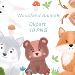 Woodland Animals Clipart, Forest Animal Clip Art, Watercolor Nursery ...