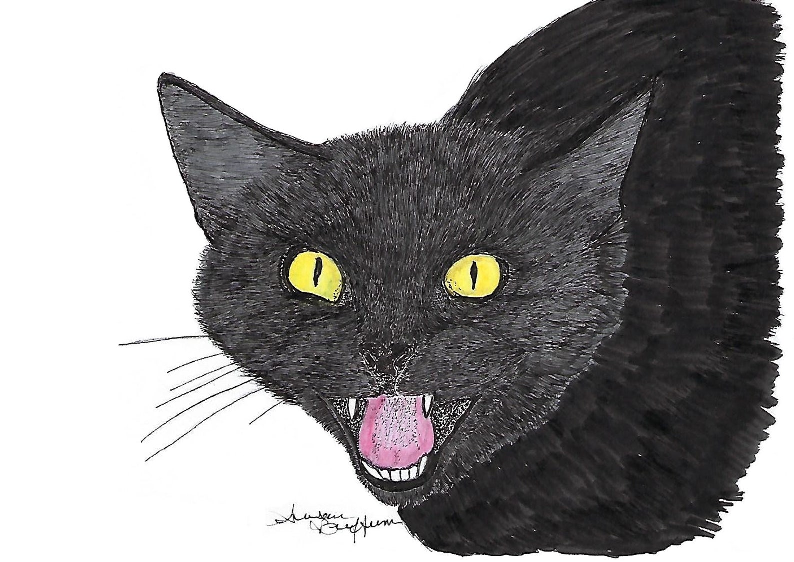 black cat hiss black cat hiss