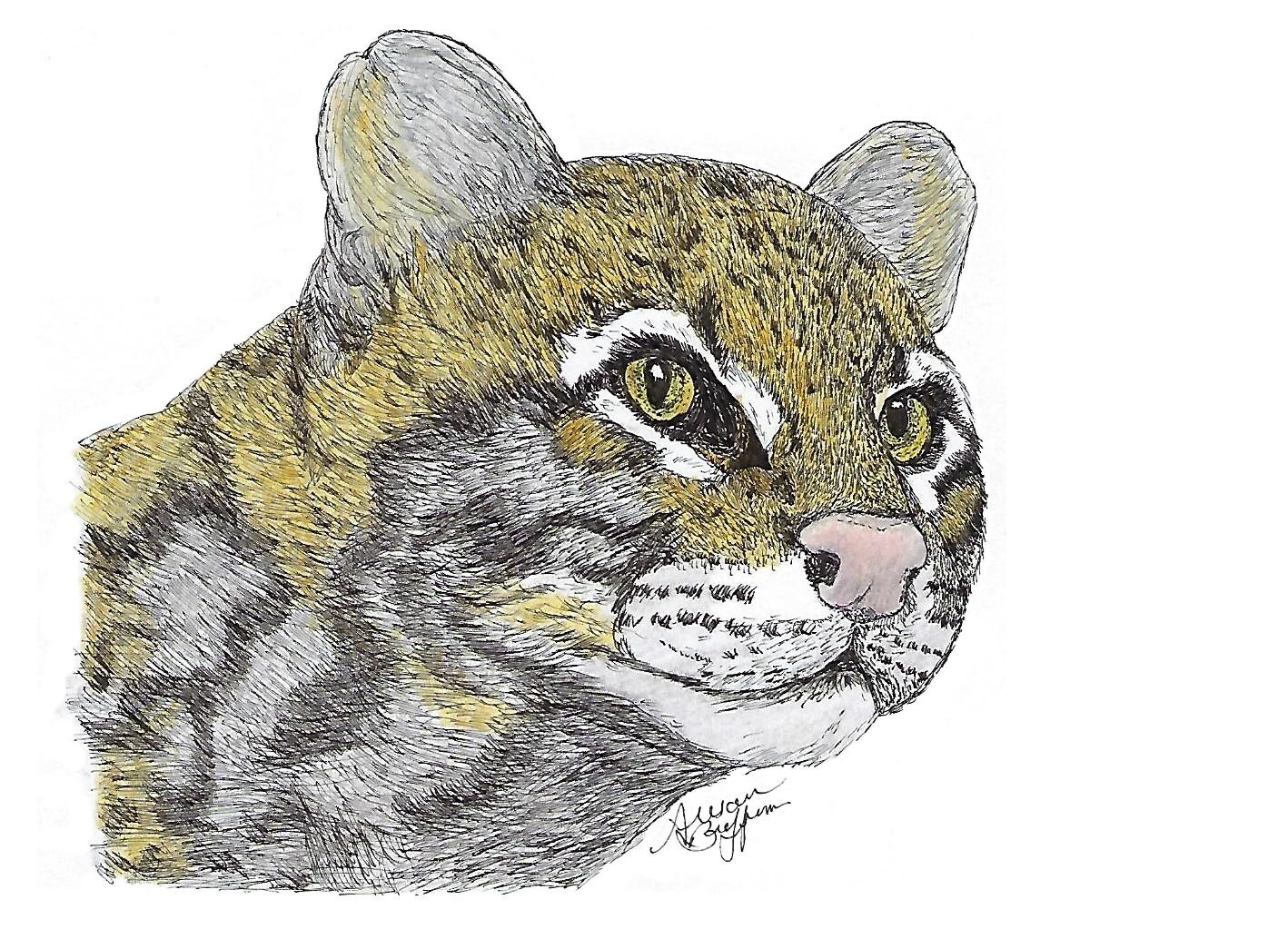 Ocelot Art Print | Etsy