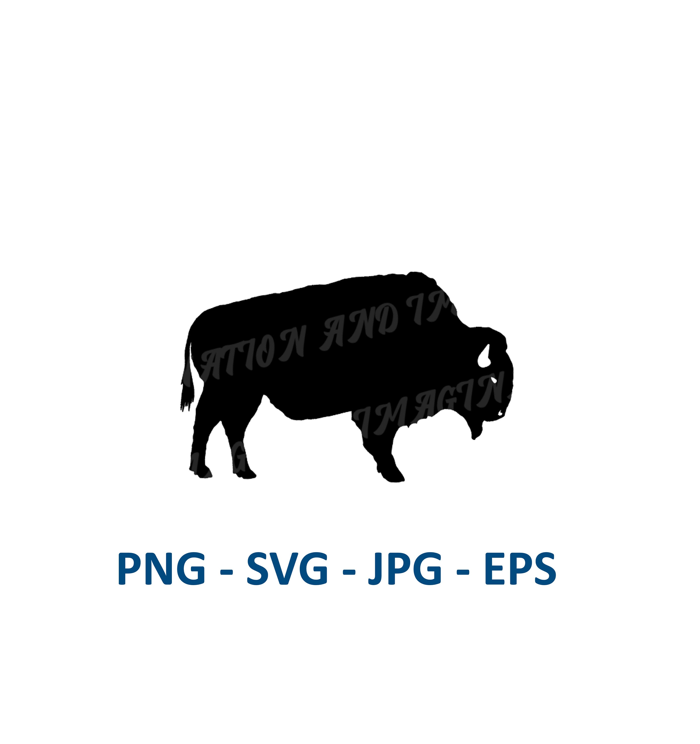Wild Bison Graphic (svg, Png, Jpg, Eps) (digital Download) - Etsy