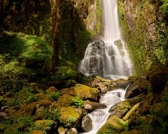 Kentucky Falls, Mapleton, Oregon
