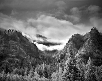 Clouds, Fog, Trees and Rugged Beauty.... a typical scene along the Columbia River, Oregon.