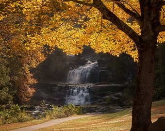 Kent Falls framed by Autumn Maple, Kent Connecticut