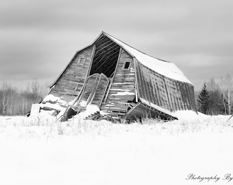 Old Hay Barn in Winter, Sax-Zim Bog, Minnesota (Color or Black and White)