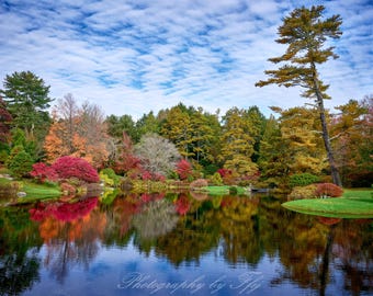 Colores de otoño en el Jardín de Azaleas Asticou, Acadia, Maine