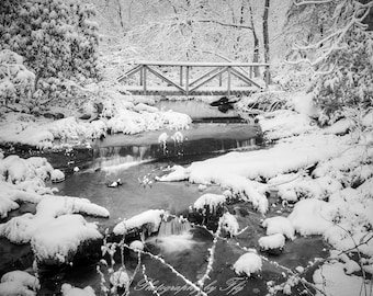 Serenidad invernal, Voluntown, Connecticut
