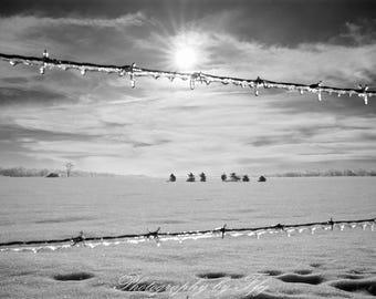 An Icy Ekonk Hill Winter, Sterling, Connecticut