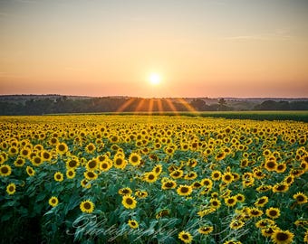 Mil soles; Fotografía de un atardecer de verano sobre Buttonwoods Farms, Griswold, Connecticut
