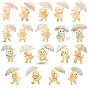 May include: Watercolor illustration of multiple yellow chicks wearing raincoats and holding umbrellas. The chicks are depicted in various poses, some walking, others standing, with rain falling around them. The umbrellas are in shades of pink, green, and gray.