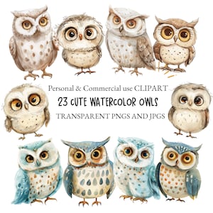 Aquarell Süsse Eule Clipart Vogel Clipart|Kinderzimmer Clipart, Kunsthandwerk und Scrapbooking|23 PNG und JPG Dateien|Digitaler Download|Kommerzielle Nutzung