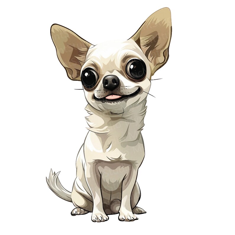 K&ouml;nnte beinhalten: Ein wei&szlig;er Chihuahua mit braunen Ohren und gro&szlig;en, dunklen Augen sitzt mit herausgestreckter Zunge und schaut direkt auf den Betrachter.