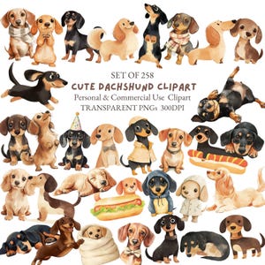 Paquete de imágenes prediseñadas de perro salchicha en acuarela / Imágenes prediseñadas de perro salchicha lindo / Perro salchicha PNG / Arte de cachorro de perro salchicha / Imágenes prediseñadas de amante de los perros / Amante de los perros PNG