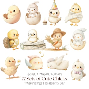 Boho Chick-afbeeldingen | Chick kwekerij clipart l schattig kuiken clipart l baby shower clipart l kwekerij decor l scrapbooking kuiken kunst l png en jpg