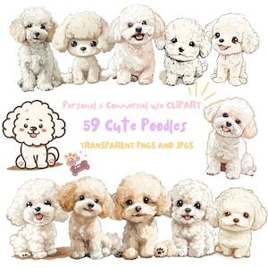 Clipart de filhotes de cachorro poodle | 59 PNG e JPG de alta qualidade | Sublimação, planejador digital, arte de parede, lixo eletrônico, download digital |