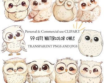 Watercolor Cute Owl Clipart Bird Clipart|Nursery Clipart, Crafts and Scrapbooking|59 PNG and JPG Files|Digital Download|Commercial Use