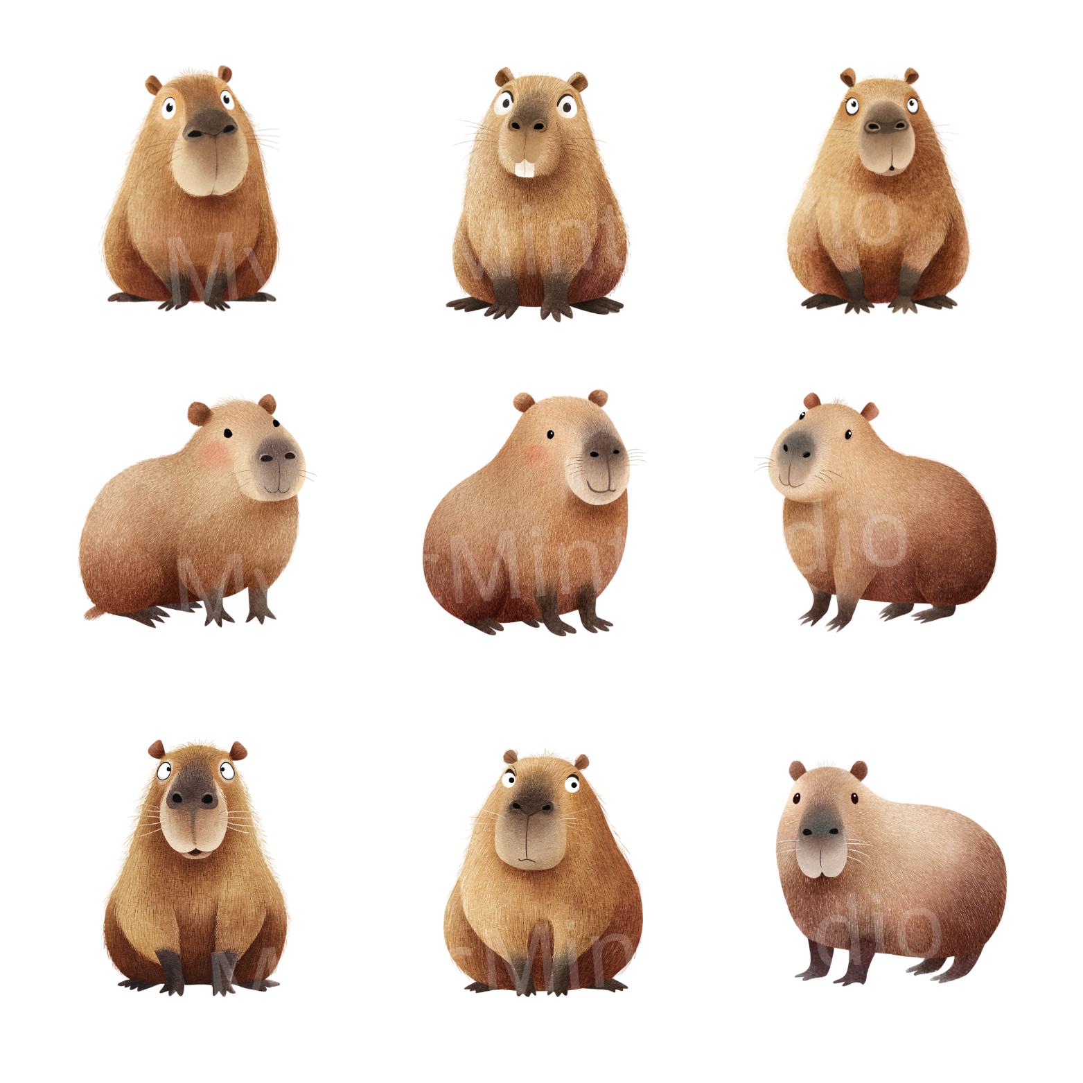 Watercolor Capybara Clipart Bundle: Nursery Art PNG (digital Download ...