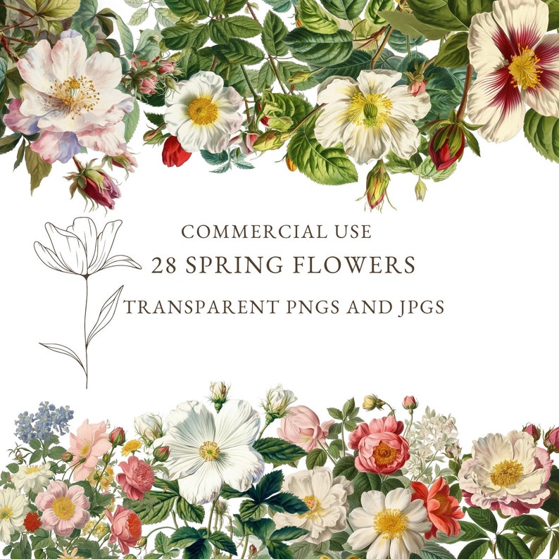 Spring Flower, 28 Pngs & Jpgs, Digital Download for Flowers Print ...